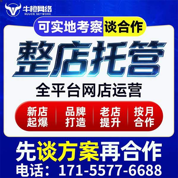 汕头电商代运营