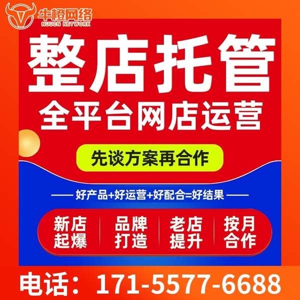 汕头电商代运营