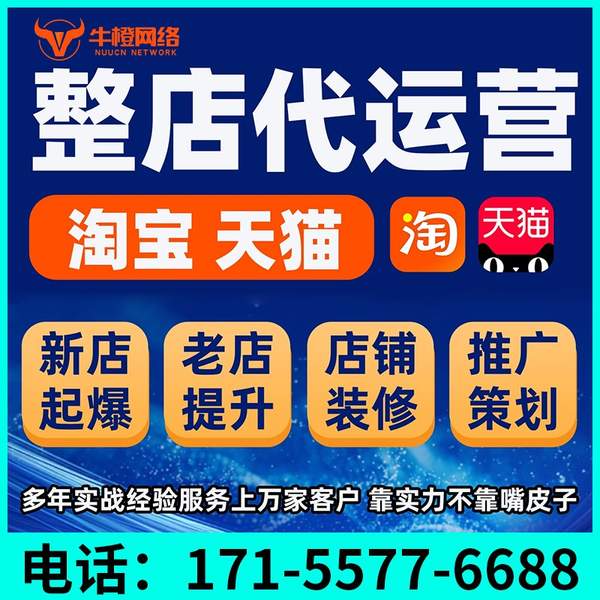汕头电商代运营