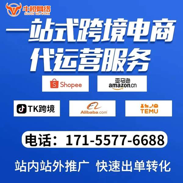 汕头电商代运营