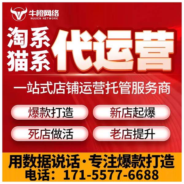 汕头电商代运营